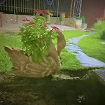 Il Laghetto