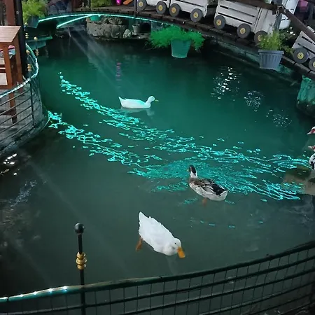 Il Laghetto 4* Castrovillari