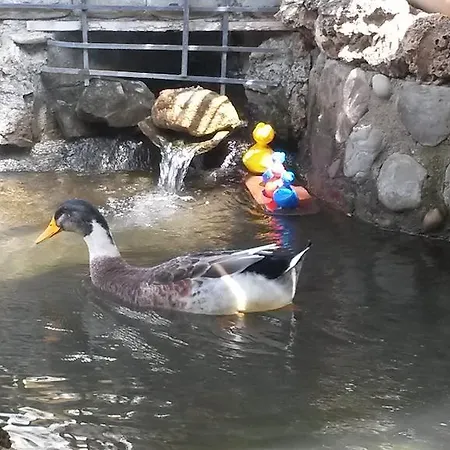 Couette-café Il Laghetto 4*