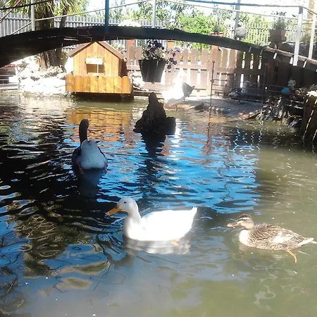 Il Laghetto Couette-café