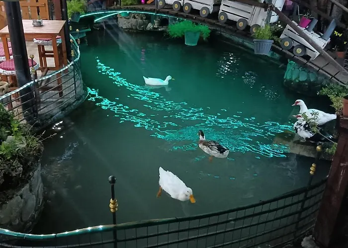 Il Laghetto 4* Castrovillari