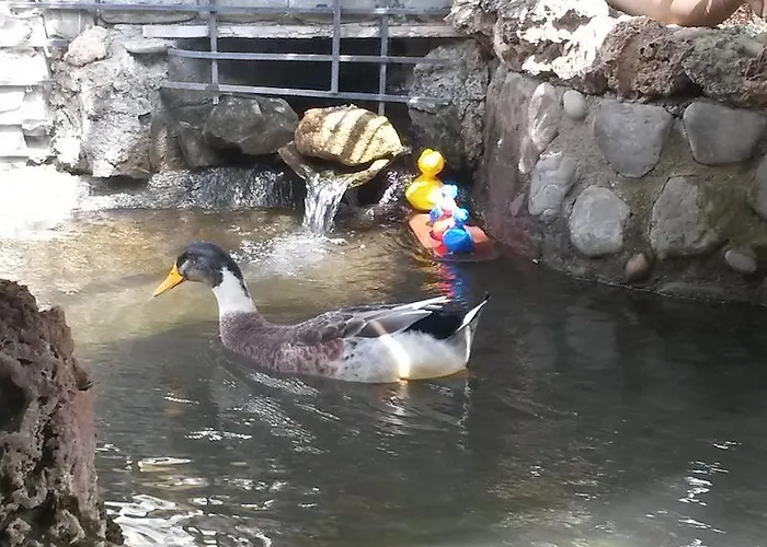 Panzió Il Laghetto 4*