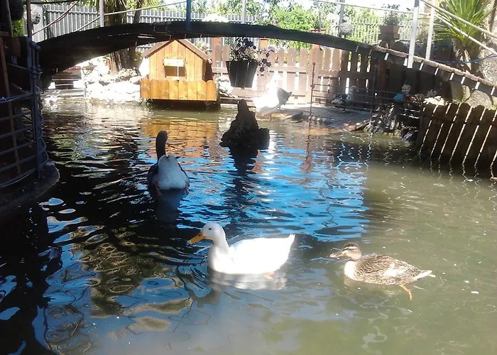 Il Laghetto Oda ve Kahvaltı